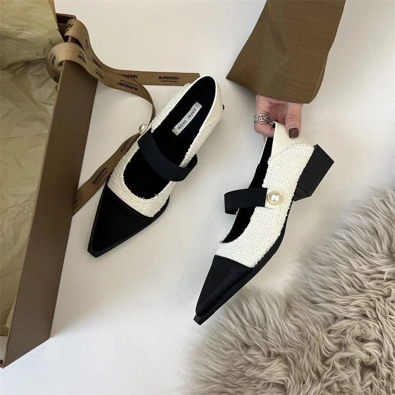 Chic Pointed Toe Shoes