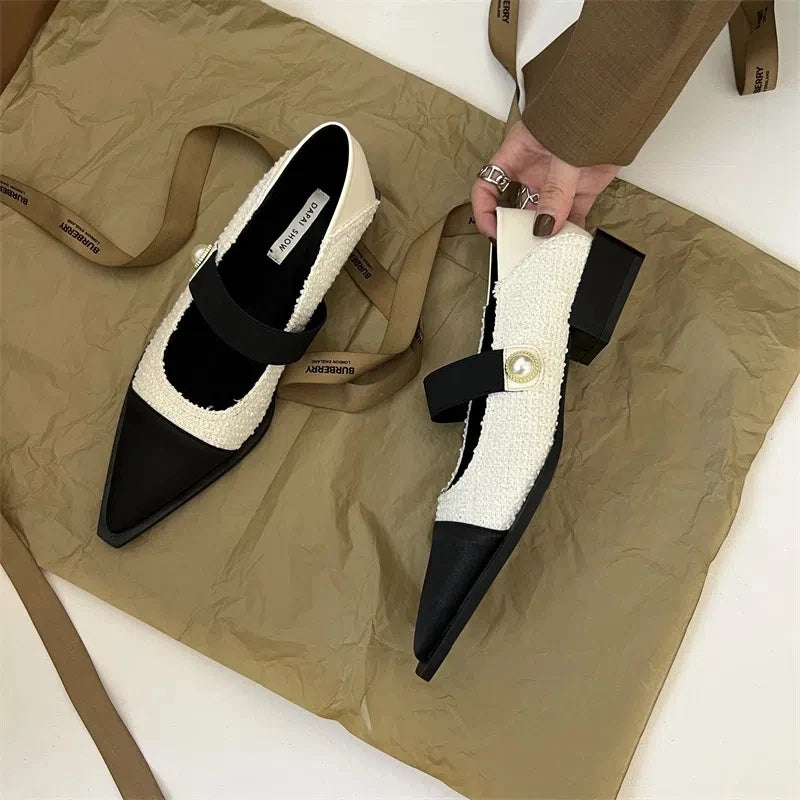 Chic Pointed Toe Shoes