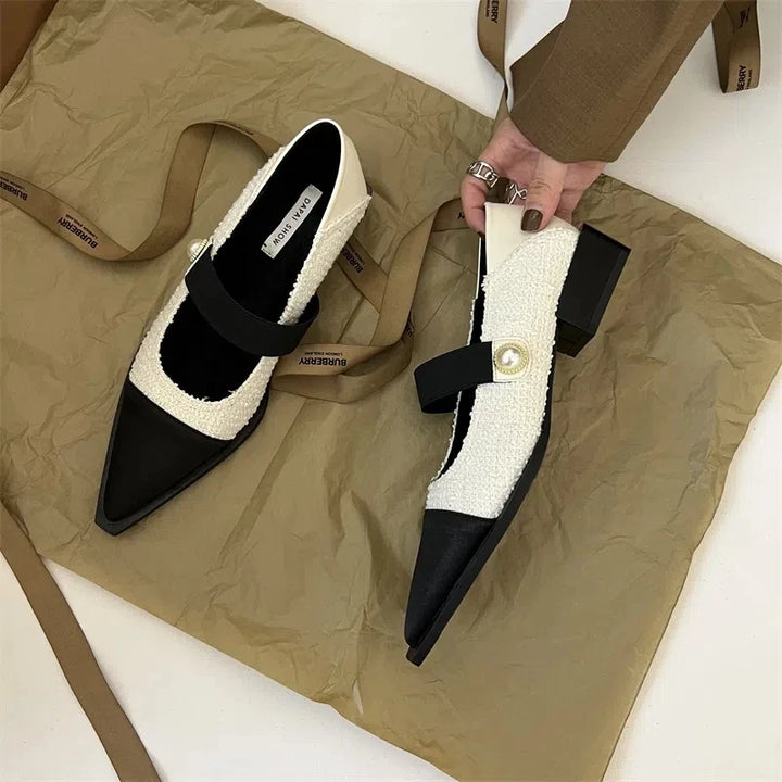 Chic Pointed Toe Shoes