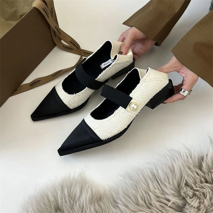 Chic Pointed Toe Shoes